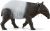 Tapir