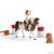 Hannahs Western Reitset