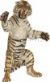 Tiger stehend