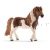 Islandpony