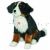 Berner Sennenhund  ca 60 cm